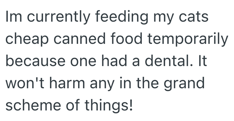 Im currently feeding my cats cheap canned food temporarily because one had a dental. It won't harm any in the grand scheme of things!