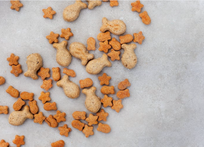 Cheezburger Image 10617769728