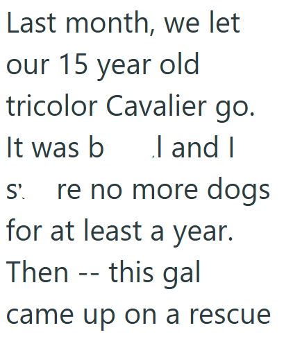 Last month, we let our 15 year old tricolor Cavalier go. It was b I and I S' re no more dogs for at least a year. Then -- this gal came up on a rescue