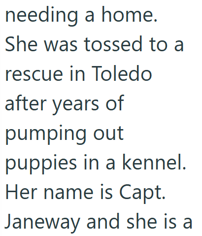 needing a home. She was tossed to a rescue in Toledo after years of pumping out puppies in a kennel. Her name is Capt. Janeway and she is a