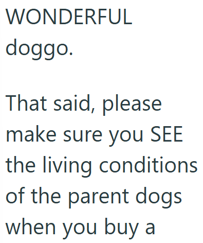 WONDERFUL doggo. That said, please make sure you SEE the living conditions of the parent dogs when you buy a