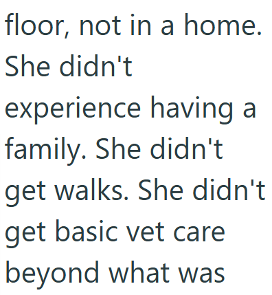 floor, not in a home. She didn't experience having a family. She didn't get walks. She didn't get basic vet care beyond what was