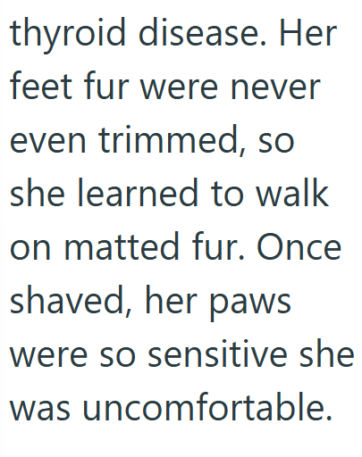thyroid disease. Her feet fur were never even trimmed, so she learned to walk on matted fur. Once shaved, her paws were so sensitive she was uncomfortable.