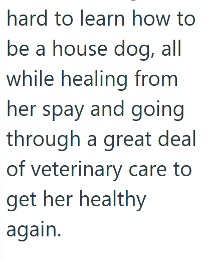 hard to learn how to be a house dog, all while healing from her spay and going through a great deal of veterinary care to get her healthy again.