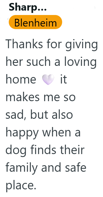 Sharp... Blenheim Thanks for giving her such a loving home it makes me so sad, but also happy when a dog finds their family and safe place.