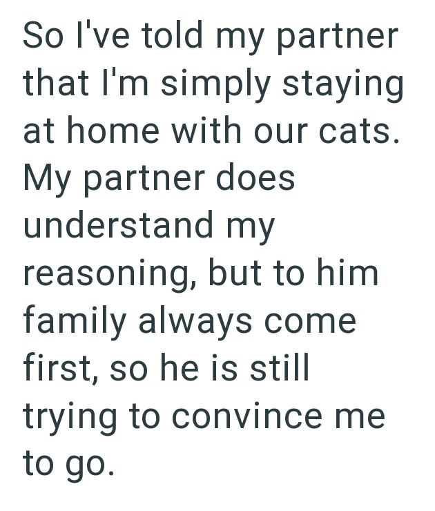 So I've told my partner that I'm simply staying at home with our cats. My partner does understand my reasoning, but to him family always come first, so he is still trying to convince me to go.