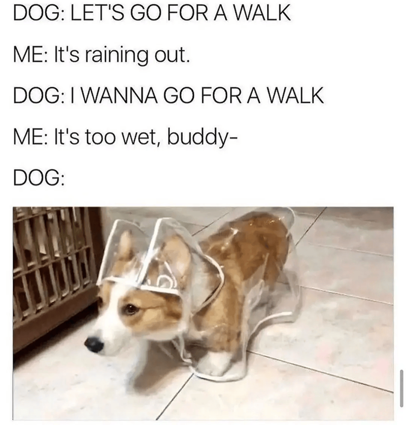 DOG: LET'S GO FOR A WALK ME: It's raining out. DOG: I WANNA GO FOR A WALK ME: It's too wet, buddy- DOG: