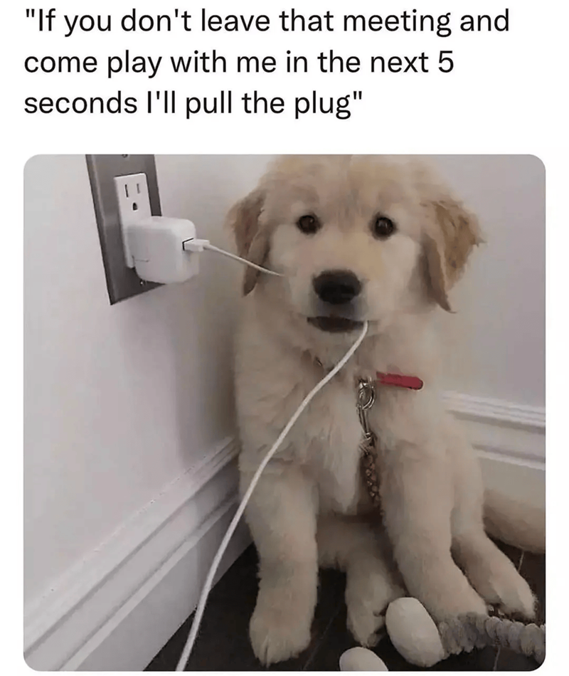 "If you don't leave that meeting and come play with me in the next 5 seconds I'll pull the plug"