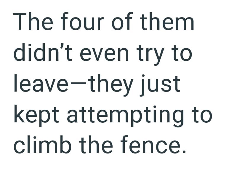 The four of them didn't even try to leave-they just kept attempting to climb the fence.
