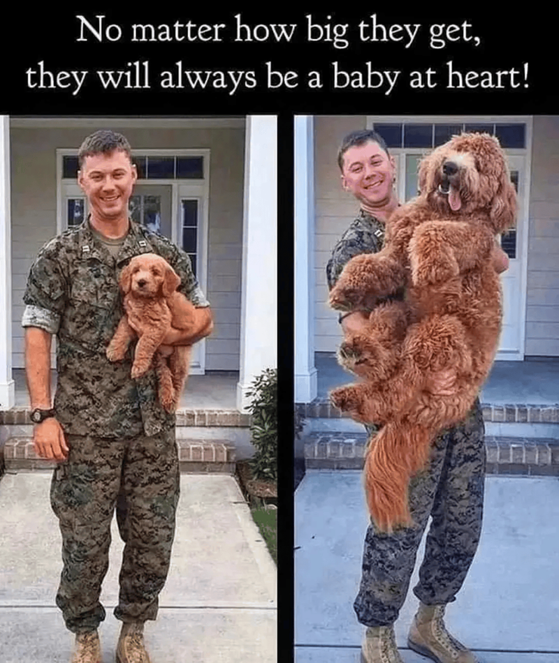 No matter how big they get, they will always be a baby at heart!