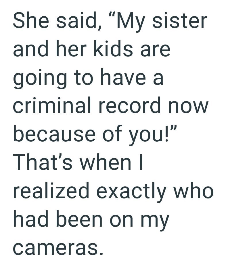 She said, "My sister and her kids are going to have a criminal record now because of you!" That's when I realized exactly who had been on my cameras.