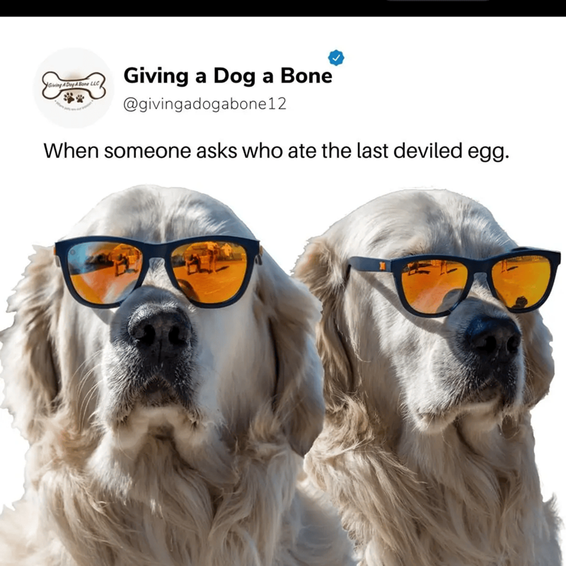 Giving A Dog A Bone LLC Giving a Dog a Bone @givingadogabone12 When someone asks who ate the last deviled egg.