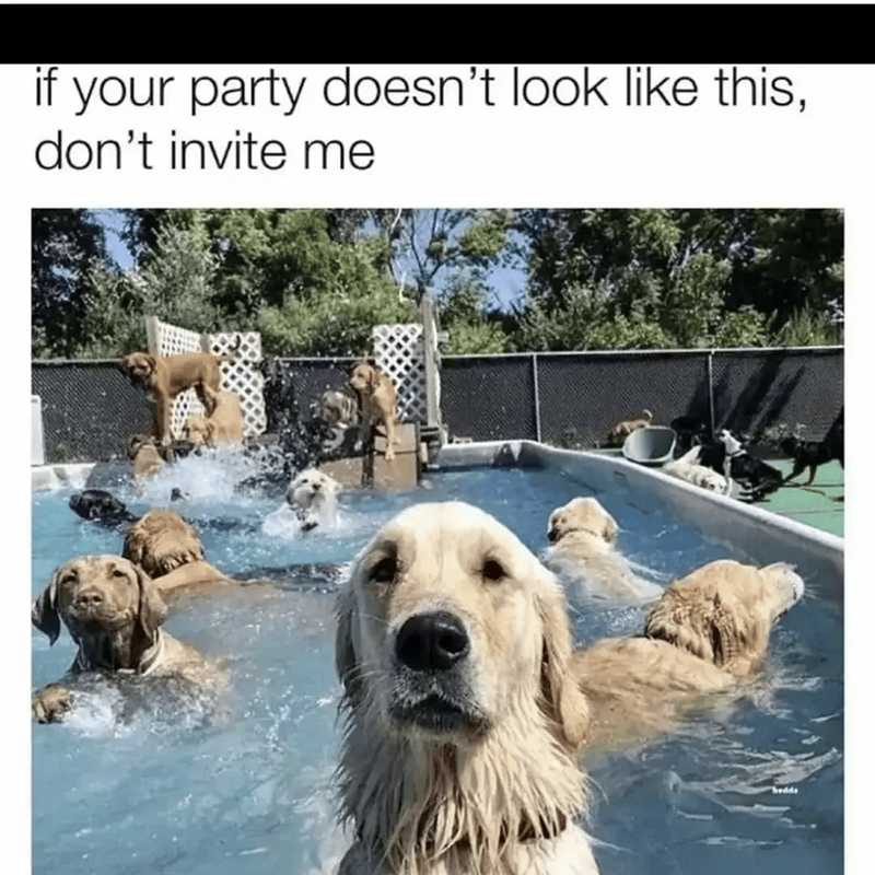 if your party doesn't look like this, don't invite me hedds