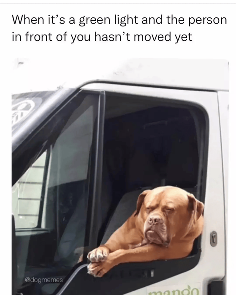When it's a green light and the person in front of you hasn't moved yet @dogmemes mando