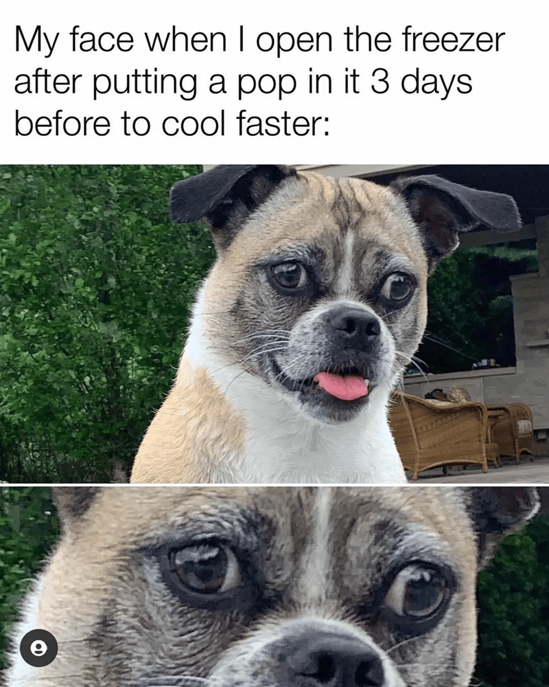 My face when I open the freezer after putting a pop in it 3 days before to cool faster: 6
