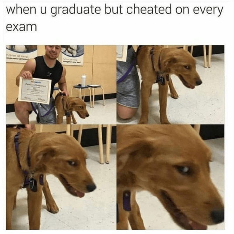 when u graduate but cheated on every exam PetSmart pet karg improves commu