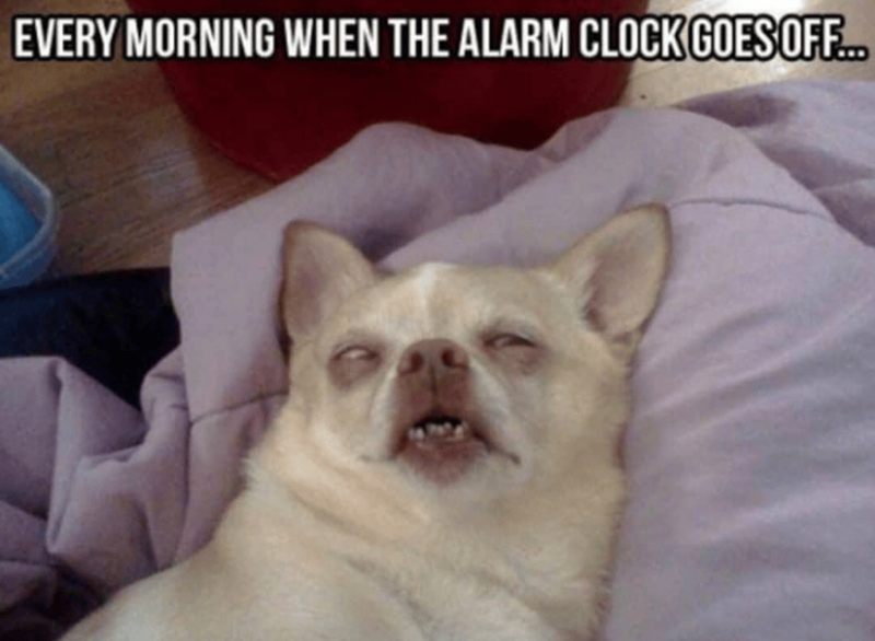 EVERY MORNING WHEN THE ALARM CLOCK GOES OFF...