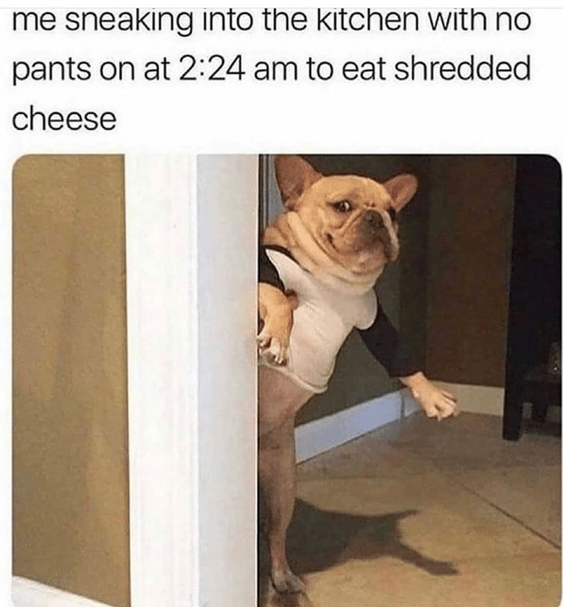 me sneaking into the kitchen with no pants on at 2:24 am to eat shredded cheese