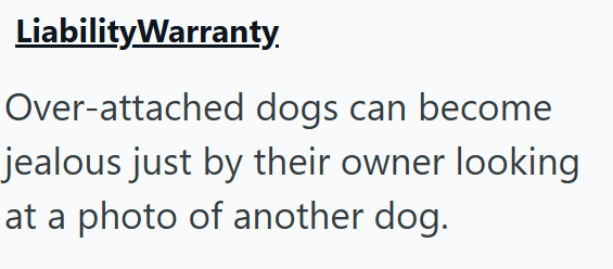 Liability Warranty. Over-attached dogs can become jealous just by their owner looking at a photo of another dog.