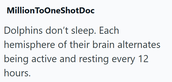 MillionToOneShotDoc Dolphins don't sleep. Each hemisphere of their brain alternates being active and resting every 12 hours.