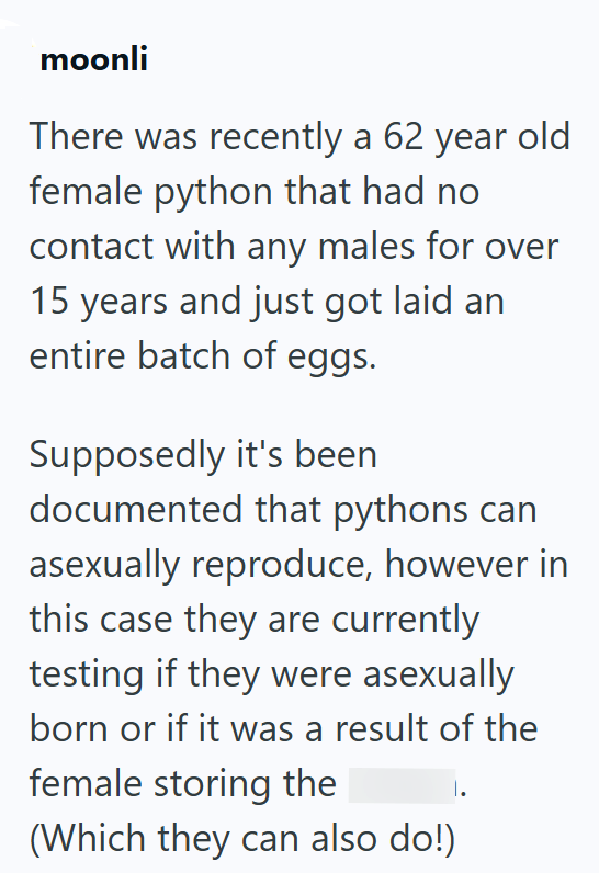 moonli There was recently a 62 year old female python that had no contact with any males for over 15 years and just got laid an entire batch of eggs. Supposedly it's been documented that pythons can asexually reproduce, however in this case they are currently testing if they were asexually born or if it was a result of the female storing the (Which they can also do!)