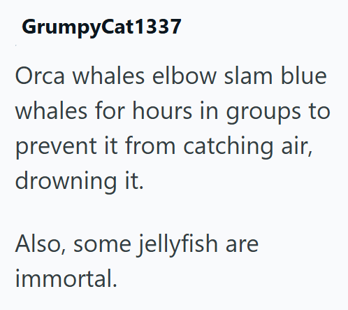 GrumpyCat1337 Orca whales elbow slam blue whales for hours in groups to prevent it from catching air, drowning it. Also, some jellyfish are immortal.