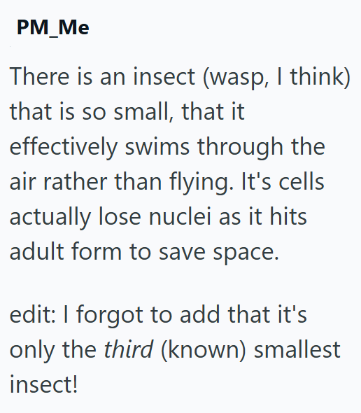 PM_Me There is an insect (wasp, I think) that is so small, that it effectively swims through the air rather than flying. It's cells actually lose nuclei as it hits adult form to save space. edit: I forgot to add that it's only the third (known) smallest insect!