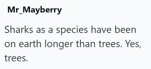 Mr_Mayberry Sharks as a species have been on earth longer than trees. Yes, trees.