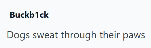 Buckb1ck Dogs sweat through their paws