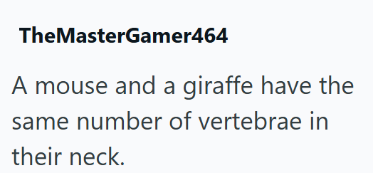 TheMasterGamer464 A mouse and a giraffe have the same number of vertebrae in their neck.