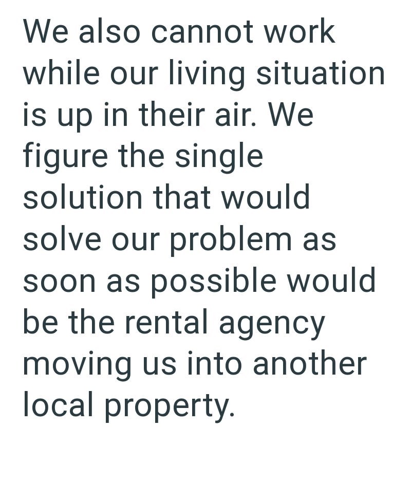We also cannot work while our living situation is up in their air. We figure the single solution that would solve our problem as soon as possible would be the rental agency moving us into another local property.