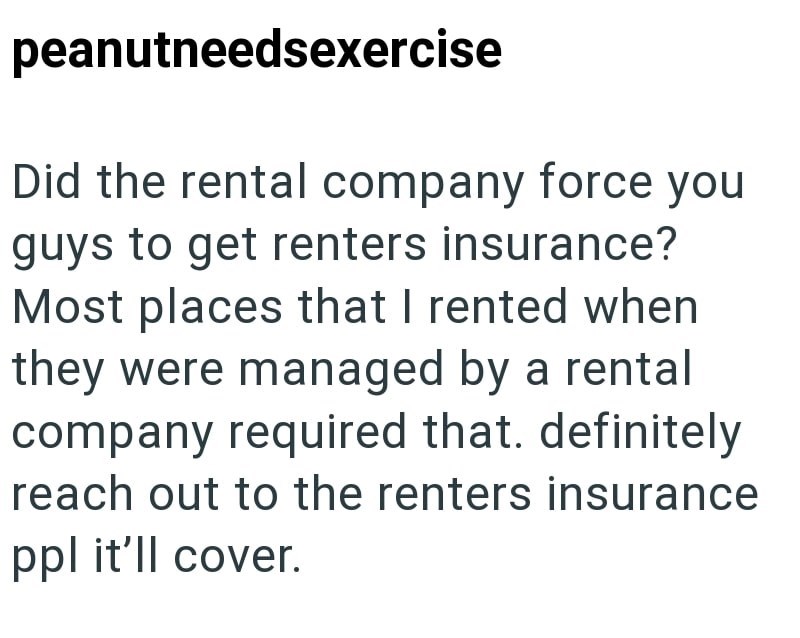 peanutneedsexercise Did the rental company force you guys to get renters insurance? Most places that I rented when they were managed by a rental company required that. definitely reach out to the renters insurance ppl it'll cover.