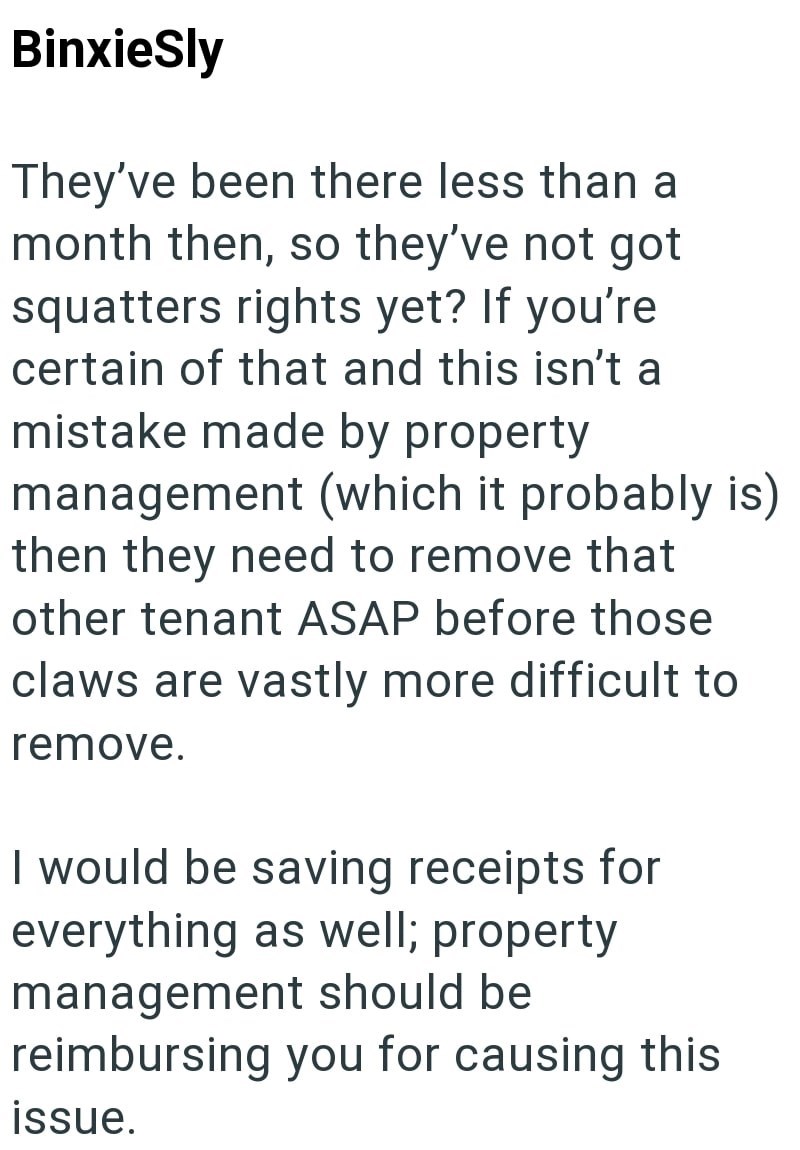 BinxieSly They've been there less than a month then, so they've not got squatters rights yet? If you're certain of that and this isn't a mistake made by property management (which it probably is) then they need to remove that other tenant ASAP before those claws are vastly more difficult to remove. I would be saving receipts for everything as well; property management should be reimbursing you for causing this issue.