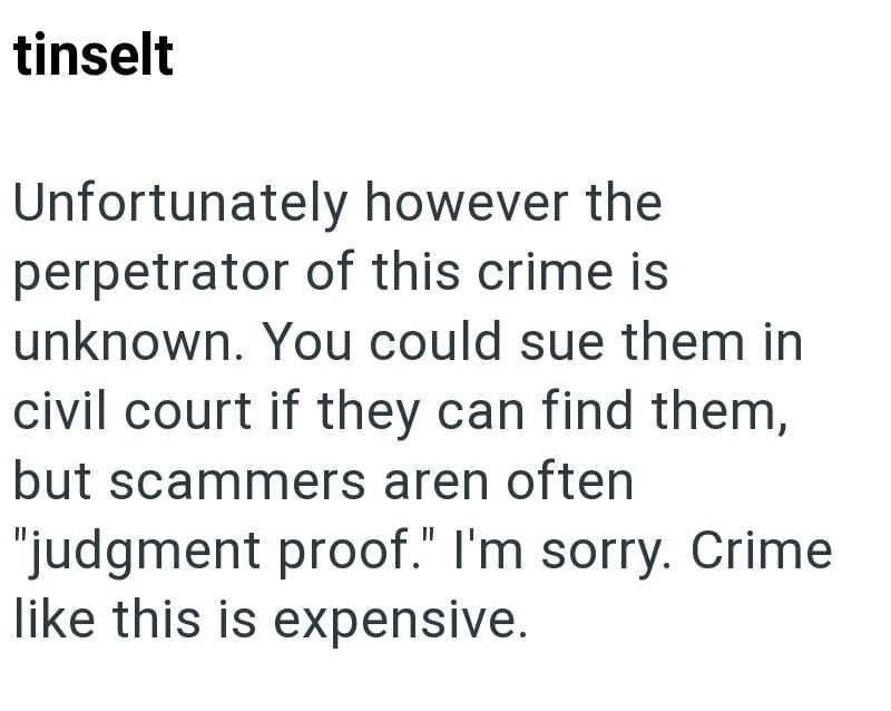 tinselt Unfortunately however the perpetrator of this crime is unknown. You could sue them in civil court if they can find them, but scammers aren often "judgment proof." I'm sorry. Crime like this is expensive.