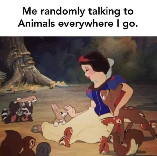 Me randomly talking to Animals everywhere I go.