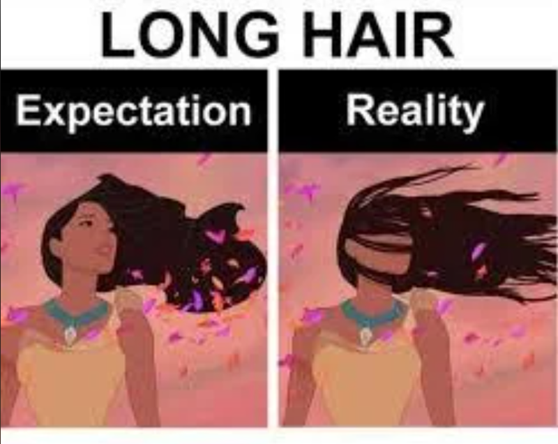 LONG HAIR Expectation Reality