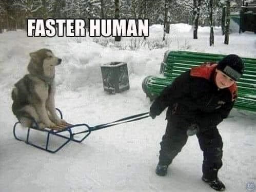 FASTER HUMAN