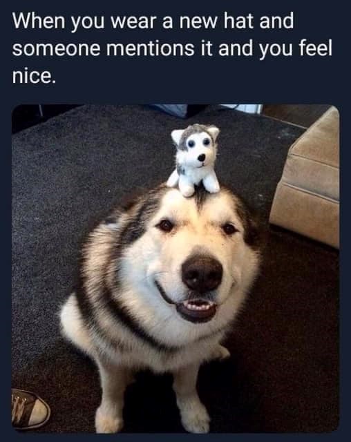 When you wear a new hat and someone mentions it and you feel nice.