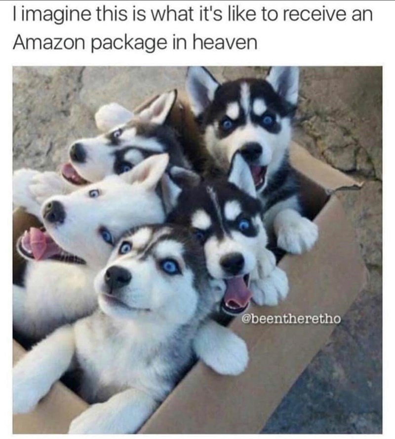I imagine this is what it's like to receive an Amazon package in heaven @beentheretho