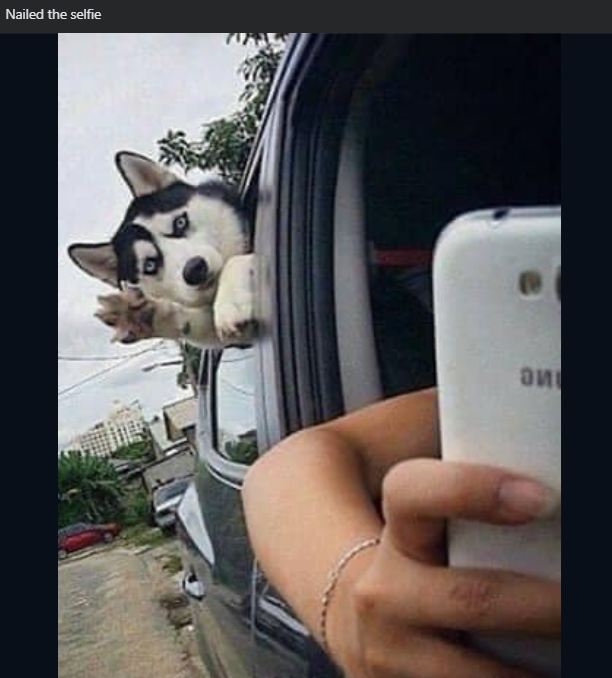 Nailed the selfie зи