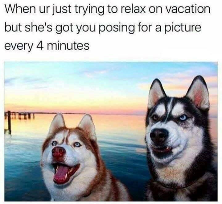 When ur just trying to relax on vacation but she's got you posing for a picture every 4 minutes