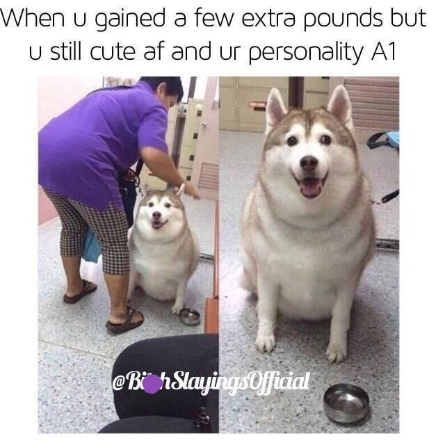 When u gained a few extra pounds but u still cute af and ur personality A1 @BhSlayingsOfficial