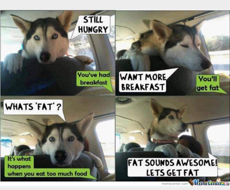 WHATS 'FAT? STILL HUNGRY You've had WANT MORE BREAKFAST breakfast You'll get fat It's what happens when you eat too much food FAT SOUNDS AWESOME! LETS GET FAT memecenter.com MemeCenter
