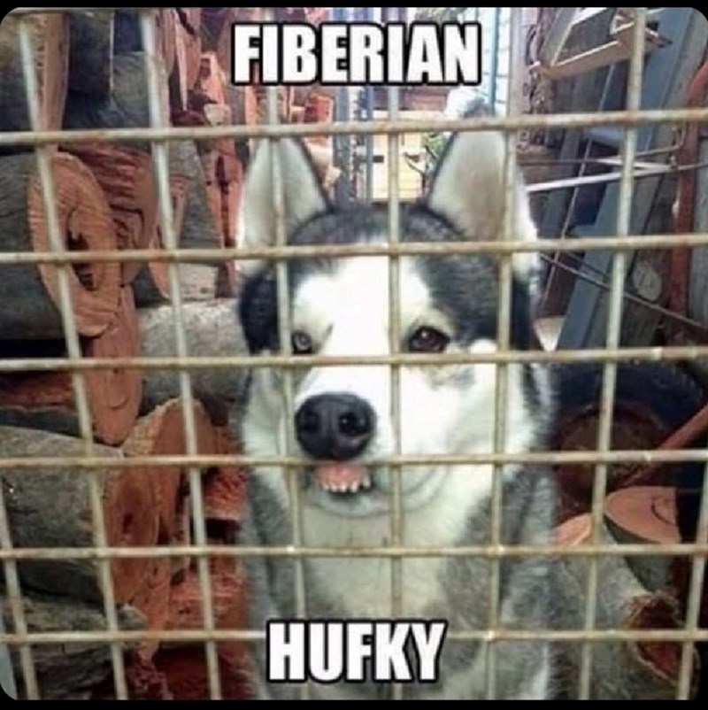 FIBERIAN HUFKY