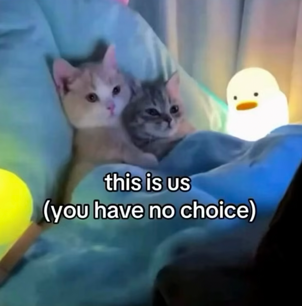 this is us (you have no choice)