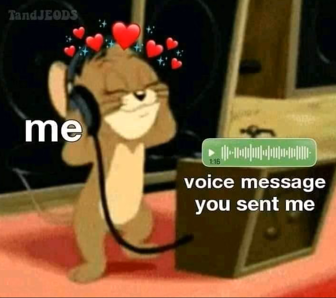 TandJEODS me 1:16 voice message you sent me