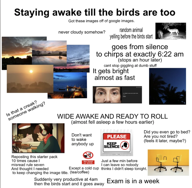 Staying awake till the birds are too Got these images off of google images. never cloudy somehow? random animal yelling before the birds start goes from silence to chirps at exactly 6:22 am (stops an hour later) cant stop giggling at dumb stuff It gets bright almost as fast Is that a creak? someone walking? WIDE AWAKE AND READY TO ROLL (almost fell asleep a few hours earlier) Don't want to wake PLEASE anybody up KEEP SILENCE Did you even go to bed? Are you not tired? (feels it later, maybe?) Rep
