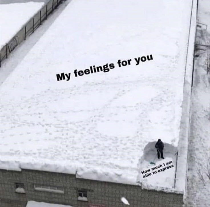 My feelings for you How much I am able to express