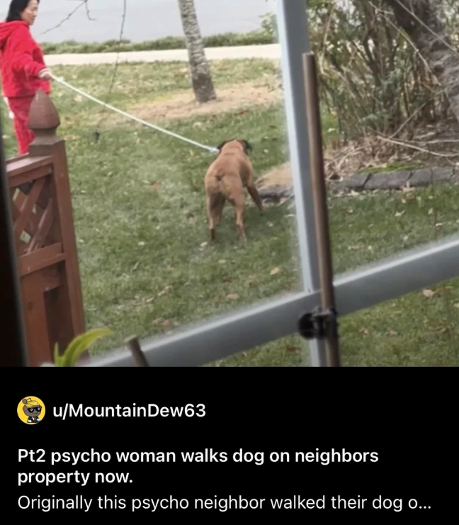 u/Mountain Dew63 Pt2 psycho woman walks dog on neighbors property now. Originally this psycho neighbor walked their dog o...