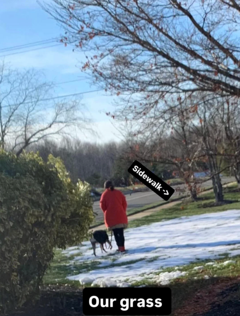 Sidewalk -> Our grass